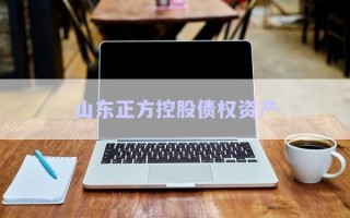 山東正方控股債權(quán)資產(chǎn) 山東正方控股債權(quán)資產(chǎn)