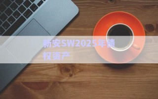 新安SW2025年債權(quán)資產(chǎn) 新安SW2025年債權(quán)資產(chǎn)