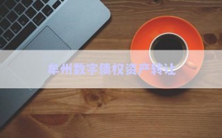 牟州數(shù)字債權(quán)資產(chǎn)轉(zhuǎn)讓 牟州數(shù)字債權(quán)資產(chǎn)轉(zhuǎn)讓