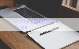 XX開發(fā)債權(quán)資產(chǎn)01-05 XX開發(fā)債權(quán)資產(chǎn)01-05