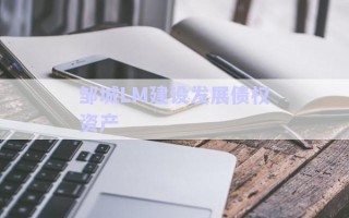 鄒城LM建設(shè)發(fā)展債權(quán)資產(chǎn) 鄒城LM建設(shè)發(fā)展債權(quán)資產(chǎn)
