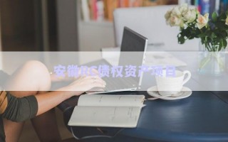 安徽RC債權資產(chǎn)項目