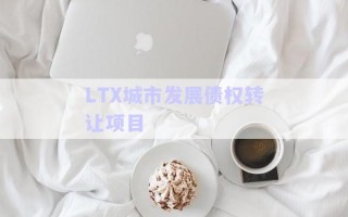 LTX城市發(fā)展債權(quán)轉(zhuǎn)讓項(xiàng)目 LTX城市發(fā)展債權(quán)轉(zhuǎn)讓項(xiàng)目