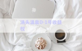 湯頭溫泉D-1號(hào)收益權(quán) 湯頭溫泉D-1號(hào)收益權(quán)