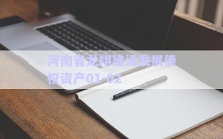 河南省龍翔建設(shè)發(fā)展債權(quán)資產(chǎn)01-02