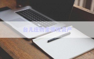 臺兒莊財(cái)金債權(quán)資產(chǎn)