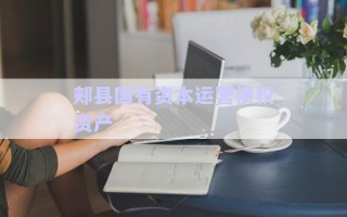 郟縣國有資本運營債權(quán)資產(chǎn) 郟縣國有資本運營債權(quán)資產(chǎn)