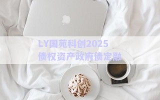 LY國(guó)苑科創(chuàng)2025債權(quán)資產(chǎn)政府債定融 LY國(guó)苑科創(chuàng)2025債權(quán)資產(chǎn)政府債定融
