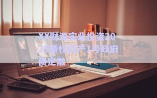 XX財源實(shí)業(yè)投資2025債權(quán)資產(chǎn)1號政府債定融
