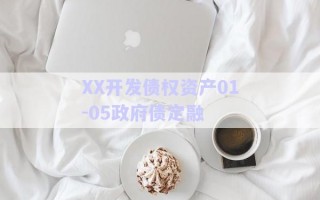 XX開發(fā)債權(quán)資產(chǎn)01-05政府債定融 XX開發(fā)債權(quán)資產(chǎn)01-05政府債定融