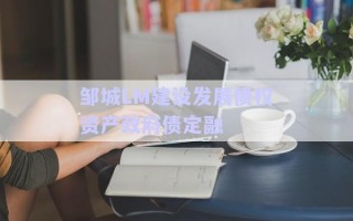 鄒城LM建設(shè)發(fā)展債權(quán)資產(chǎn)政府債定融 鄒城LM建設(shè)發(fā)展債權(quán)資產(chǎn)政府債定融