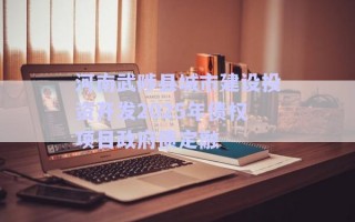河南武陟縣城市建設(shè)投資開發(fā)2025年債權(quán)項(xiàng)目政府債定融