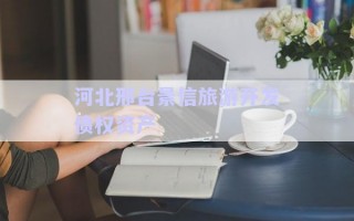 河北邢臺(tái)景信旅游開發(fā)債權(quán)資產(chǎn)