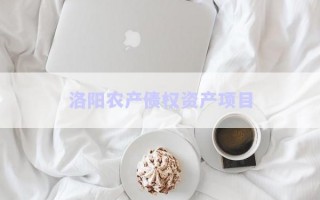 洛陽(yáng)農(nóng)產(chǎn)債權(quán)資產(chǎn)項(xiàng)目