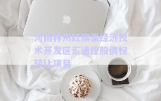 河南林州紅旗渠經(jīng)濟(jì)技術(shù)開發(fā)區(qū)匯通控股債權(quán)轉(zhuǎn)讓項(xiàng)目