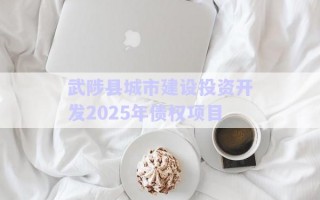 武陟縣城市建設(shè)投資開(kāi)發(fā)2025年債權(quán)項(xiàng)目