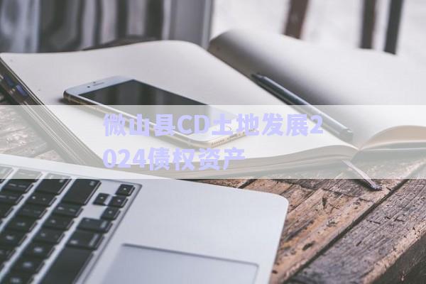 微山縣CD土地發(fā)展2024債權資產(chǎn)-第1張圖片-政信固收網(wǎng)