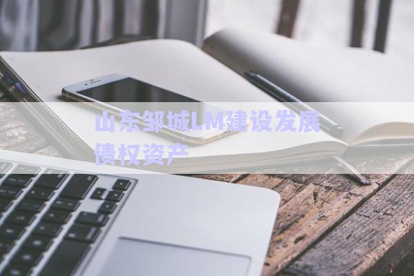 山東鄒城LM建設發(fā)展債權資產(chǎn)-第1張圖片-政信固收網(wǎng)
