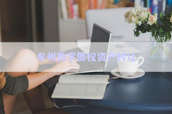 牟州數(shù)字債權資產(chǎn)轉(zhuǎn)讓-第1張圖片-政信固收網(wǎng)