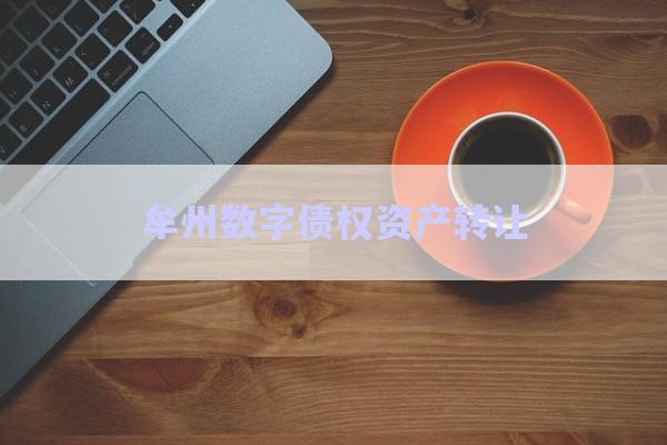 牟州數(shù)字債權(quán)資產(chǎn)轉(zhuǎn)讓-第1張圖片-政信固收網(wǎng)